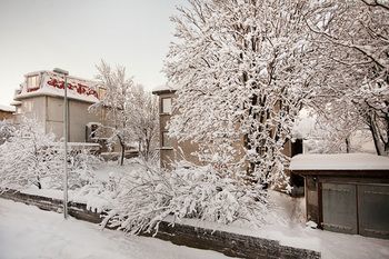 Nordurey Guesthouse Рейкьявик Экстерьер фото